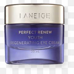 Perfect Renew Youth Regenerating Eye Cream - Skincare Eye Png,Day Night Cream Icon