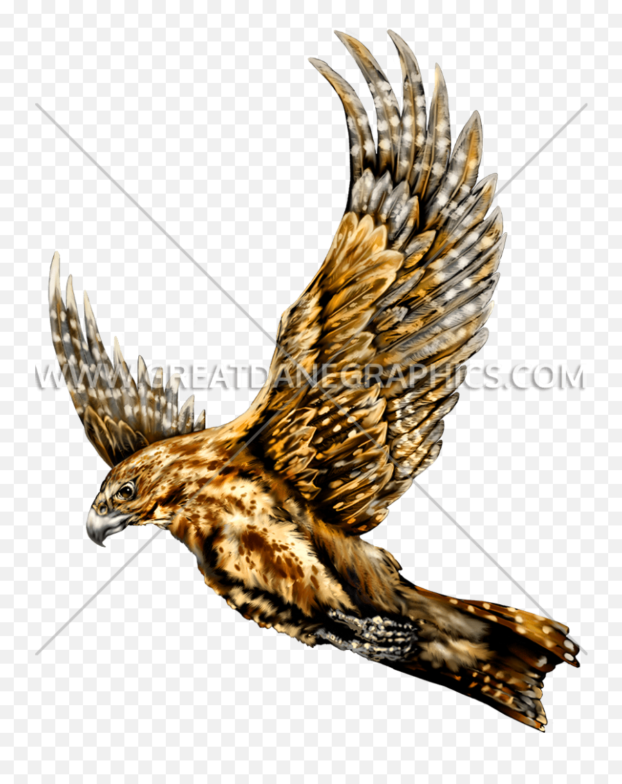 Flying Falcon Production Ready Artwork For T - Shirt Printing Flying Falcon Art Png,Falcon Png