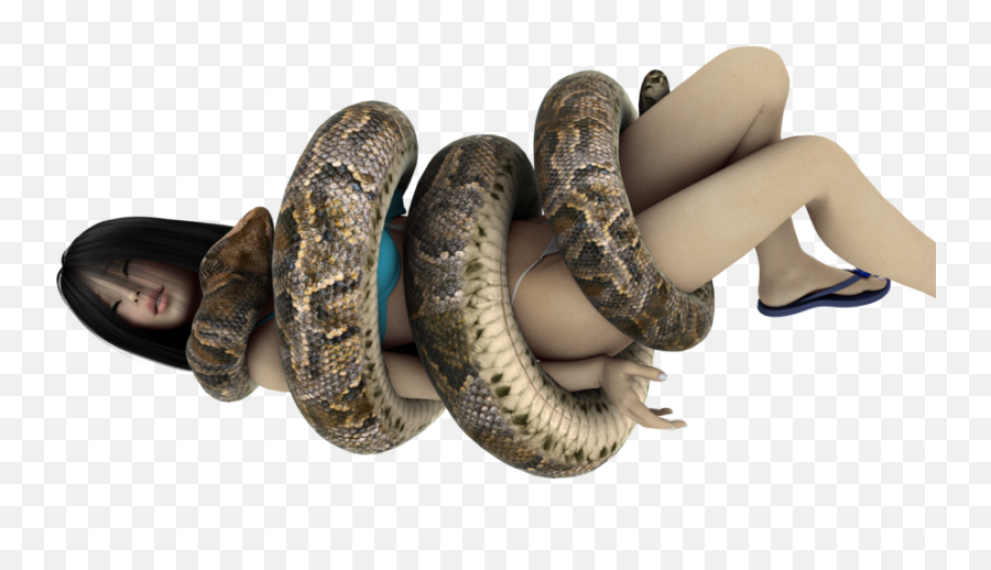 Snake Giant Anaconda Digital Art - Anaconda Snake Png,Anaconda Png