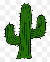 Pinturas Coloridas - Estampa Cacto Nao Me Toque Png,Cactus Clipart Png