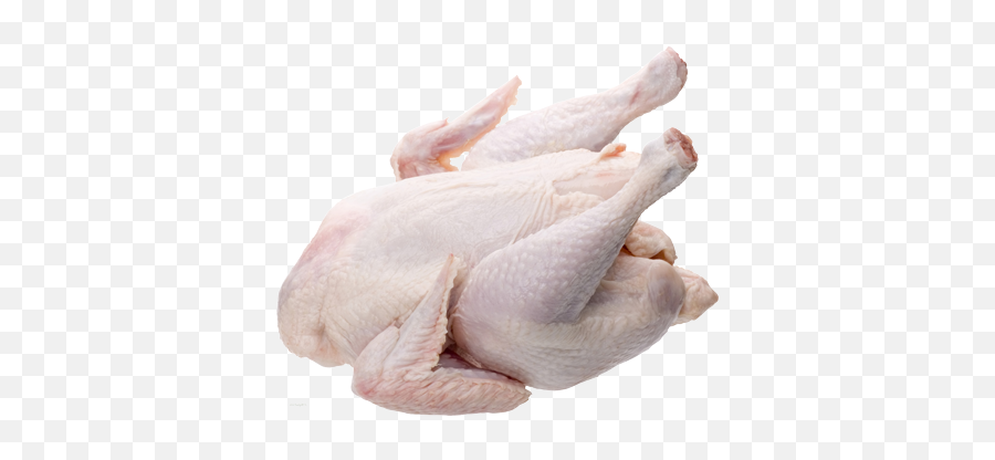 Frozen Turkey - Broiler Chicken Skin Png,Turkey Png