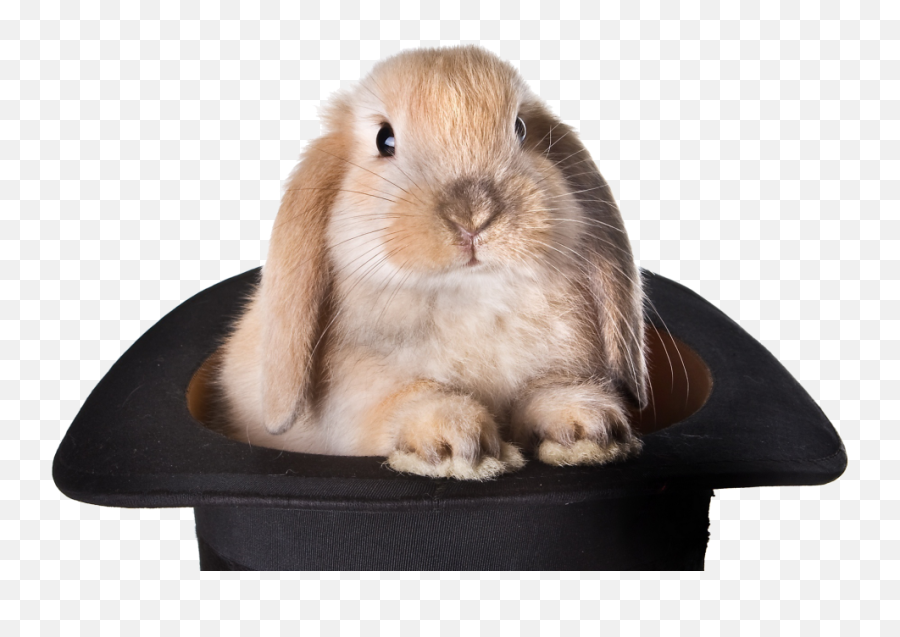 Download Rabbit Hat Transparent Background Png - Rabbit Out Pulling A Rabbit Out Of A Hat,Rabbit Transparent