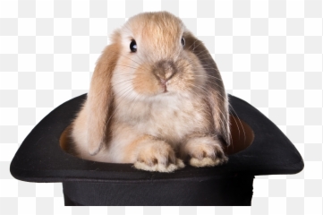 Download Rabbit Hat Transparent Background Png - Out Pulling A Of