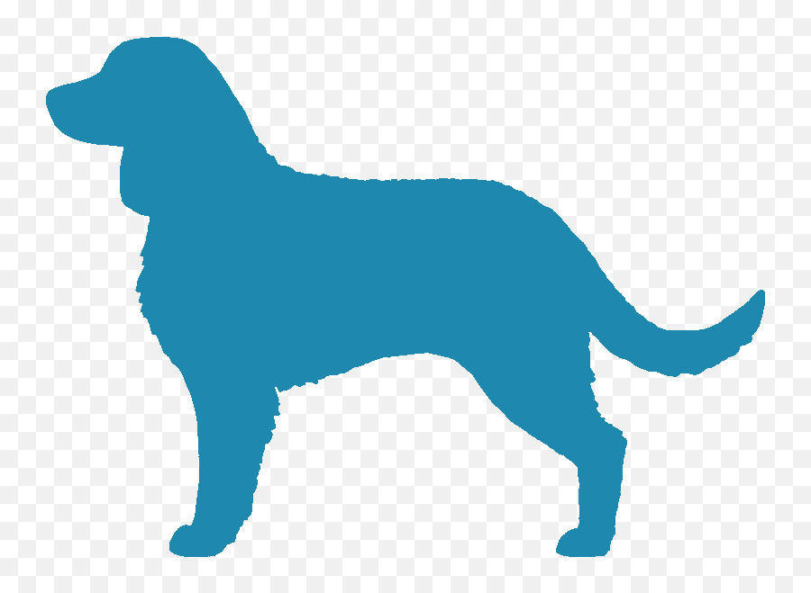 Water City Kennel - Golden Retriever Clipart Full Size Dog Png,Golden Retriever Transparent Background