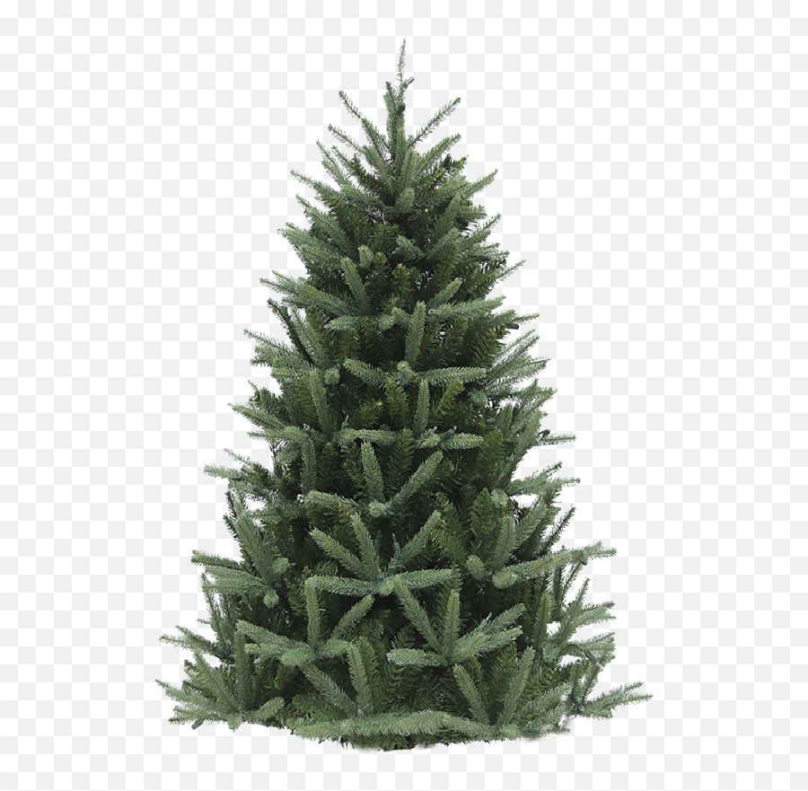 Artificial Christmas Trees Hicks Nurseries - Christmas Tree Png,Trees Top View Png