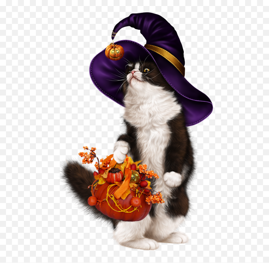 Sexy Halloween Png - 3chatcitrouille Halloween Citrouille Kitten,Halloween Png