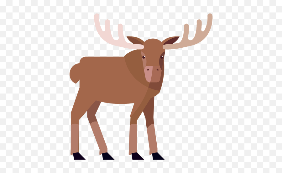 Moose Elk Antler Flat - Cartoon Elk Png,Elk Png