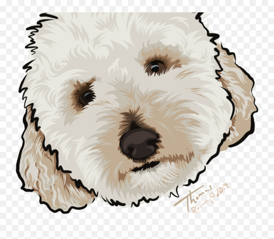 Thomas By Lyn Gabriel - Rooney On Dribbble Companion Dog Png,Gabe The Dog Png