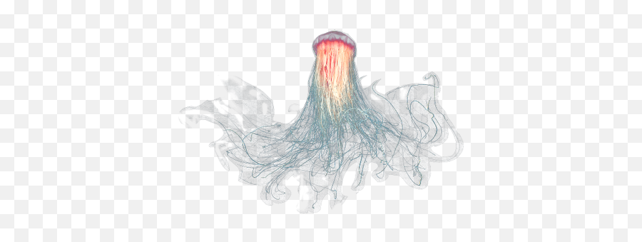 Large Jellyfish Transparent Png - Transparent Background Jellyfish Png,Jellyfish Png