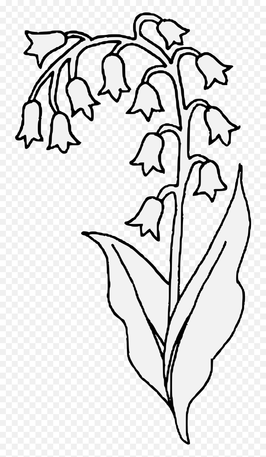 Flower Drawing - Drawing Clipart Lily Of The Valley Png,Lily Of The Valley Png