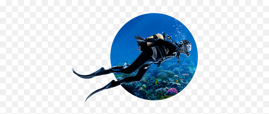 Crystal Diving Center - Illustration Png,Scuba Diver Png