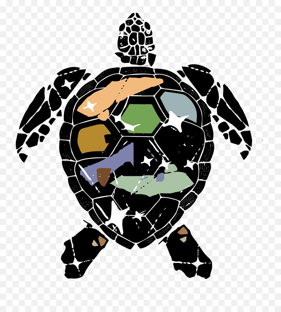 Download - Turtlepngtransparentimagestransparent Png,Sea Turtle Png