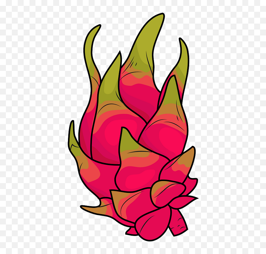 Dragon Fruit Clipart - Dragon Fruit Clip Art Png,Dragon Fruit Png