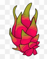 Dragon Fruit Clipart - Dragon Fruit Clip Art Png,Dragon Fruit Png