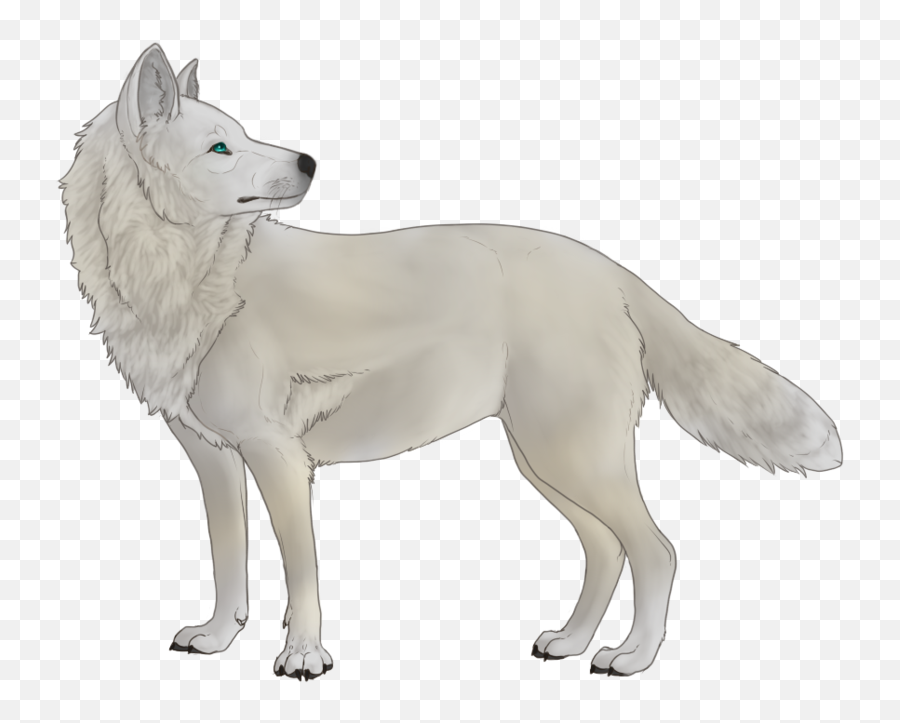 Download White Wolf Thing - White Wolf No Background Full Anime White Wolf  Transparent Png,White Wolf Png - free transparent png images 