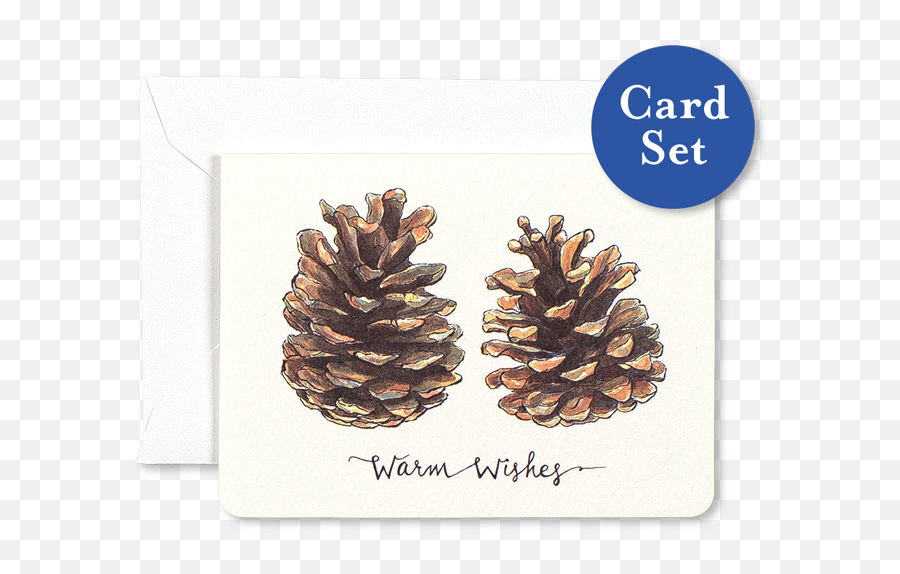 Download Pinecones Warm Wishes Mini Card Set Of - Pinecone Pinecone Puns Png,Pinecone Png