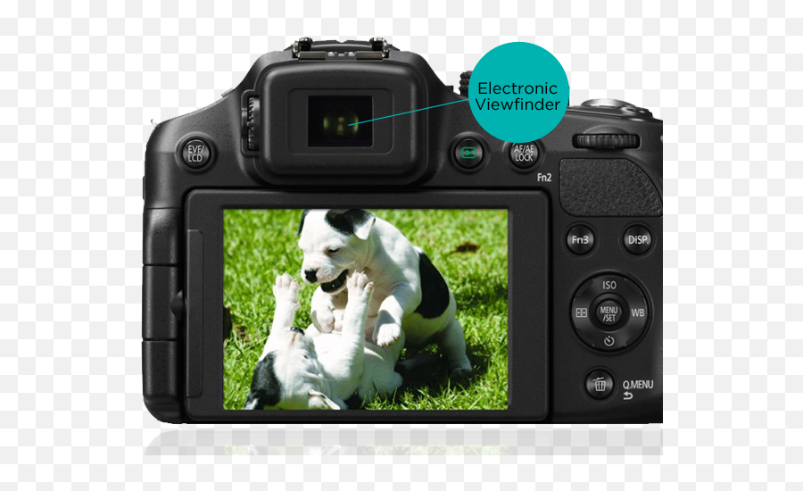 Download Hd Viewfinder - Nikon Fz200 Transparent Png Image Flip Screen Bridge Camera,Viewfinder Png