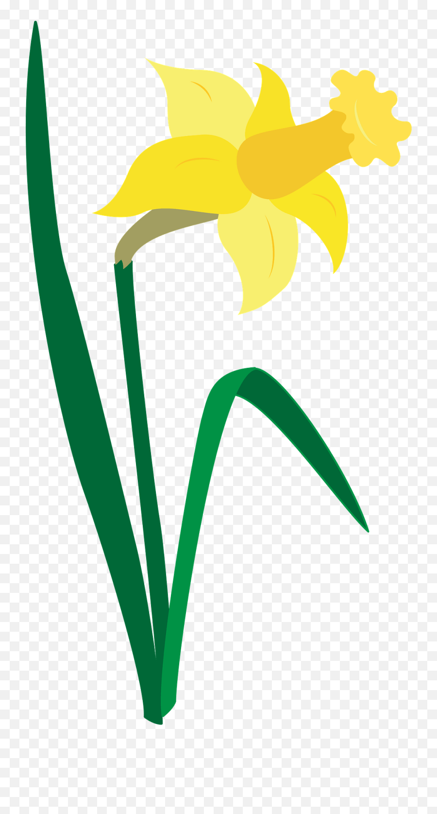 Daffodil Clipart - Fresh Png,Daffodil Png