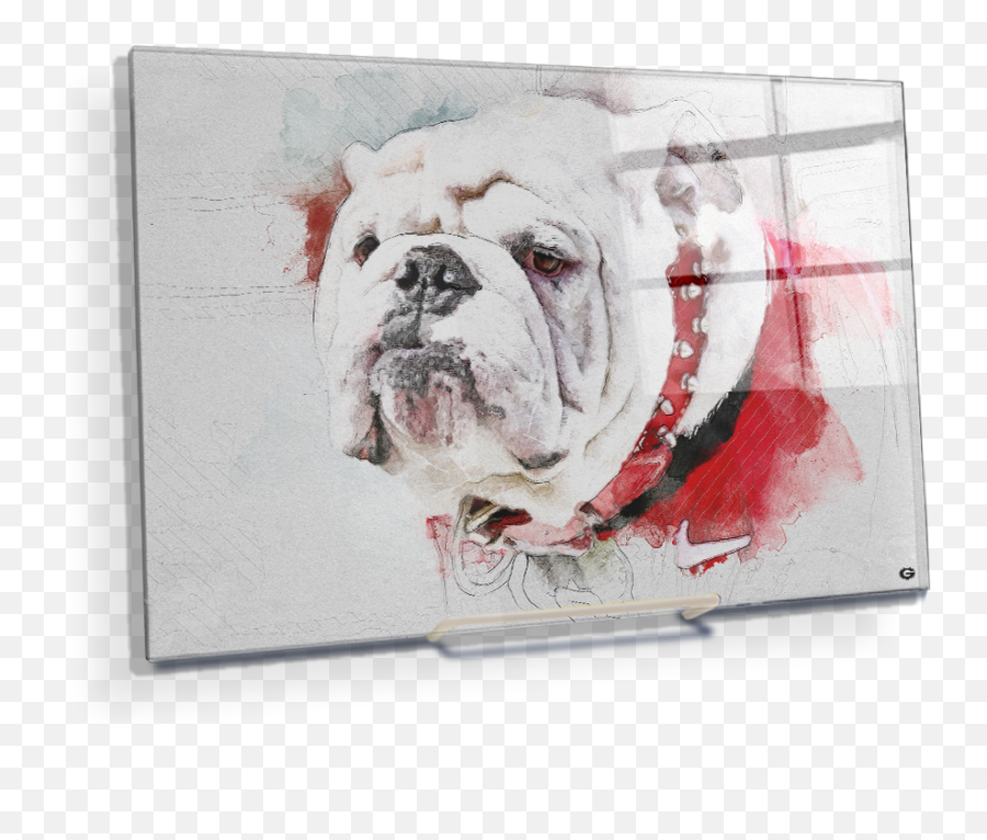 Georgia Bulldogs - Uga Painting Georgia Bulldog Painting Png,Uga Logo Png