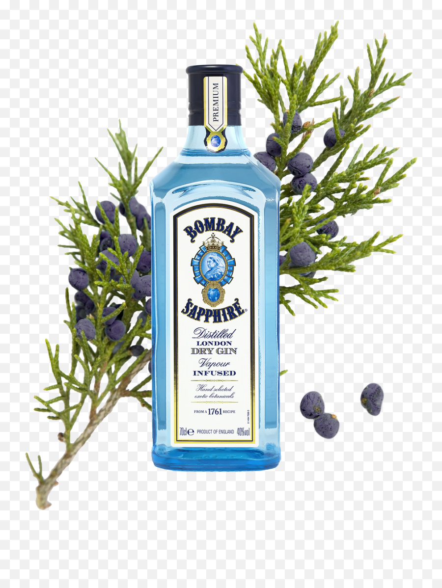 15 Best Gin Brands 2020 - Bombay Sapphire Gin Png,Bombay Sapphire Logo