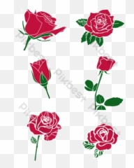 Flat Rose Templates - Floral png