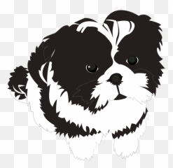 Funny Shih Tzu Sticker Transparent Png - Shih Tzu Black And White Clipart,Shih Tzu Png