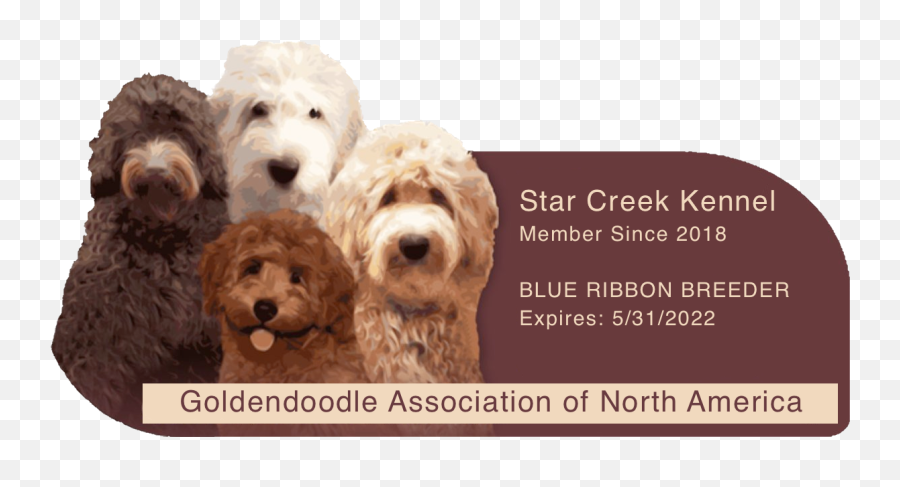 Our Moms U0026 Dads Cosmopolitan Companion Dogs - Golden Doodle Color Chart Png,Cosmopolitan Logo
