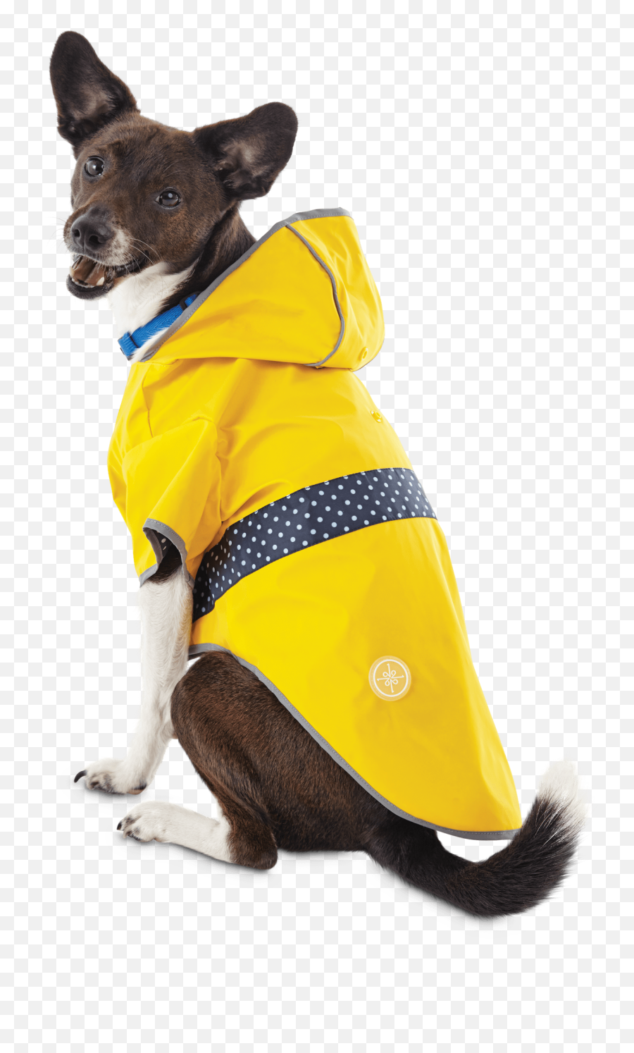 Good2go Reversible Dog Raincoat In Yellow Extra Small - Raincoat Dogs Png,Icon Rain Jacket
