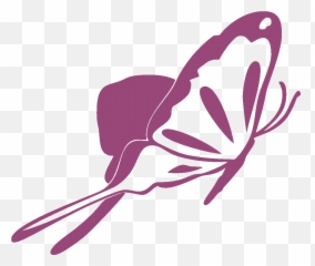 Butterfly In Graphic - Clipart Simple png
