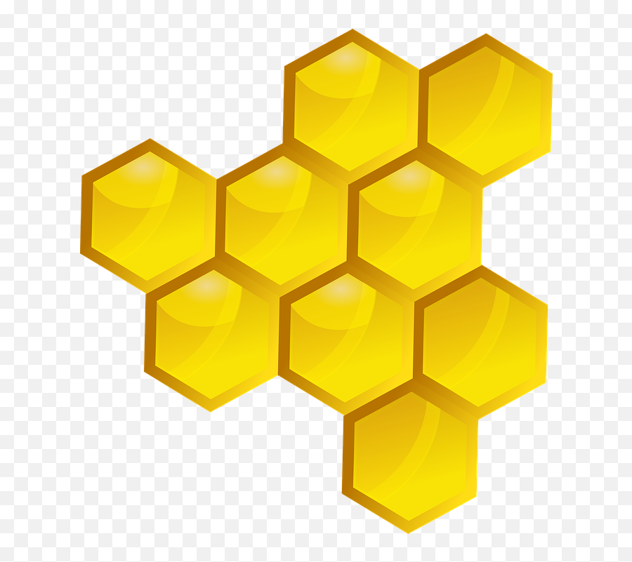 Honey Slice Bee - Plaster Miodu Png,Pollen Png