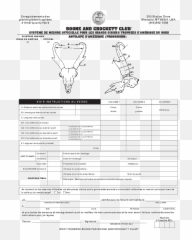 Download Bu0026c Score Charts In French Boone And Crockett Club - Document Png,Bison Icon