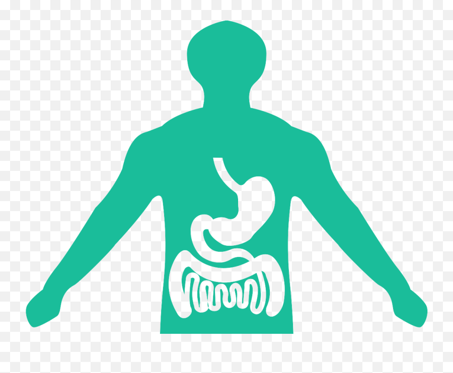 About San Antonio Gastroenterology - Human Digestive System Png,Gi Tract Icon