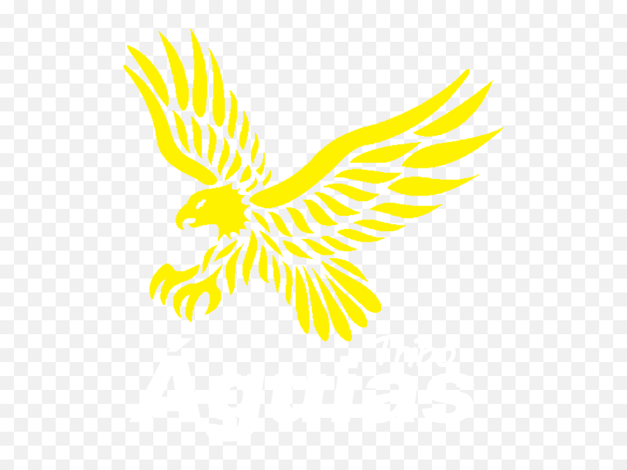 Tribo Aguias Logo Download - Logo Icon Png Svg Aguia,Vulture Icon