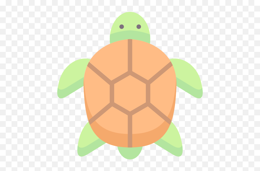 Turtle - Free Animals Icons Tortoise Png,Turtle Shell Icon