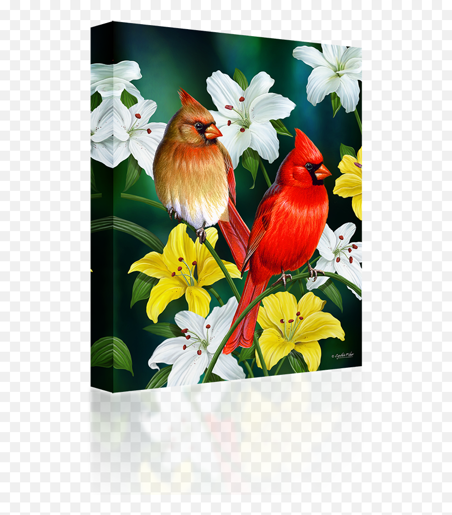 Download Cardinals - Cardinal Bird With Flowers Full Size Cardinal Day 2 Png,Cardinal Png