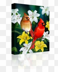 Download Cardinals - Cardinal Bird With Flowers Full Size Cardinal Day 2 Png,Cardinal Png
