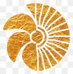 Home - Aurum Leasing Limited 16 Days Of Activism Logo png