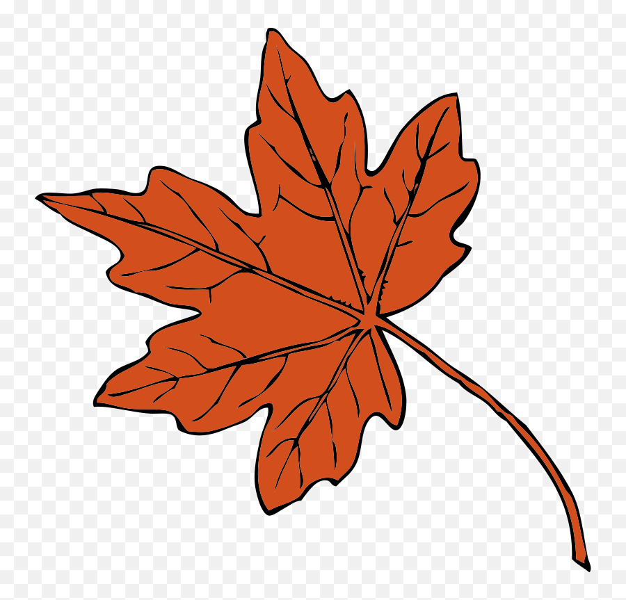 Red Maple Transparent U0026 Png Clipart Free Download - Ywd Maple Leaves Clipart,Japanese Maple Png