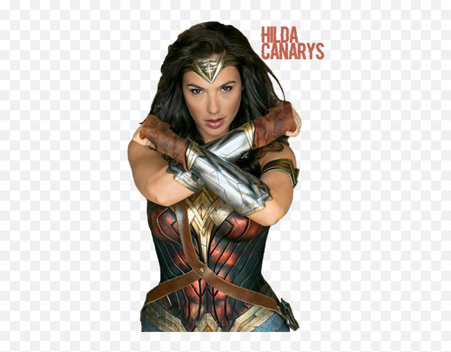Wonder Woman Png High - Transparent Wonder Woman Png,Wonder Woman Logo Png