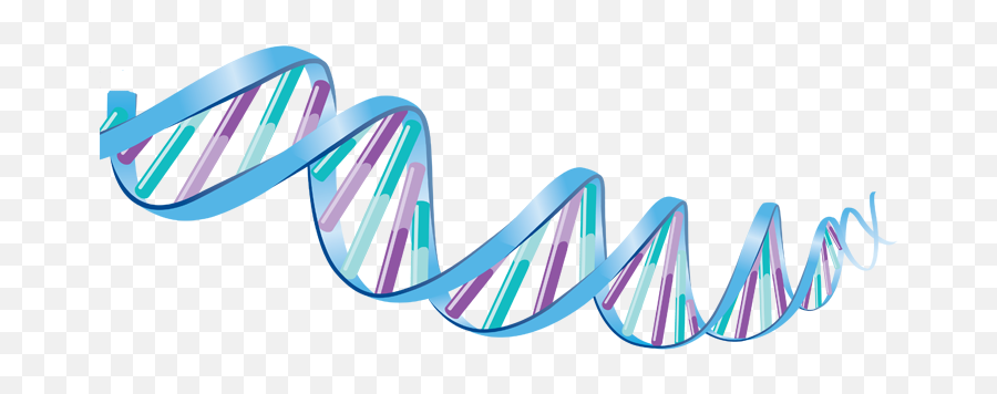 Dna Png Images Free Download - Moving Pictures Of Dna,Dna Png