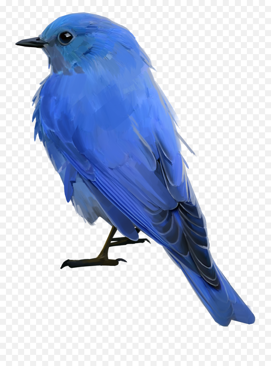 Blue Bird Png Picture - Blue Bird Transparent Background,Blue Bird Png