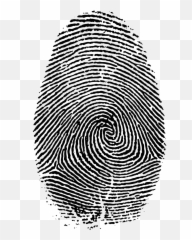 Fingerprint Png Clipart - Heart In Fingerprint Transparent Fingerprint ...