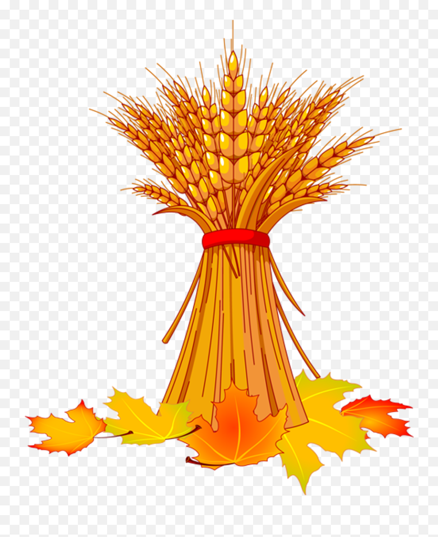 Home Advisor - Corn Stalk Clip Art Png,Corn Stalk Png