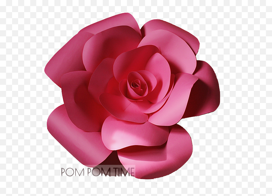 Large Paper Flower - Dark Pink 50cm Pompomtimecz Garden Roses Png,Paper Flower Png