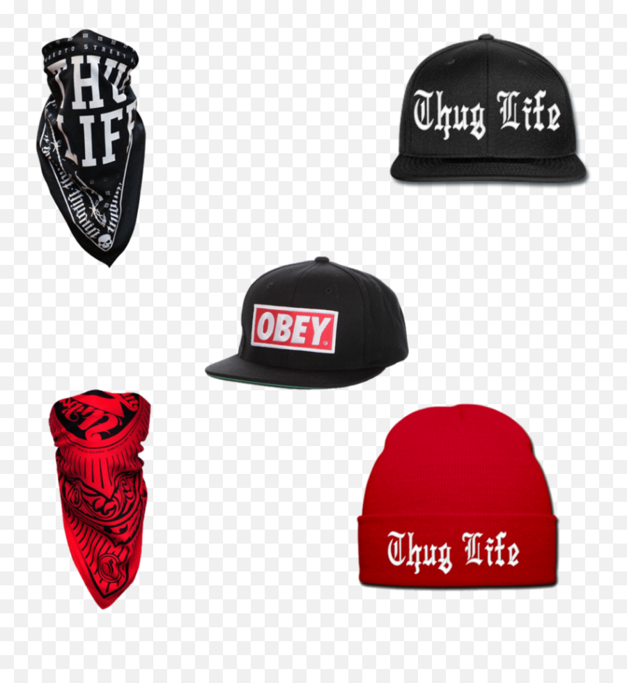 Popular And Trending Cappelli Stickers - Obey Snapbacks Png,Thug Life Hat Transparent