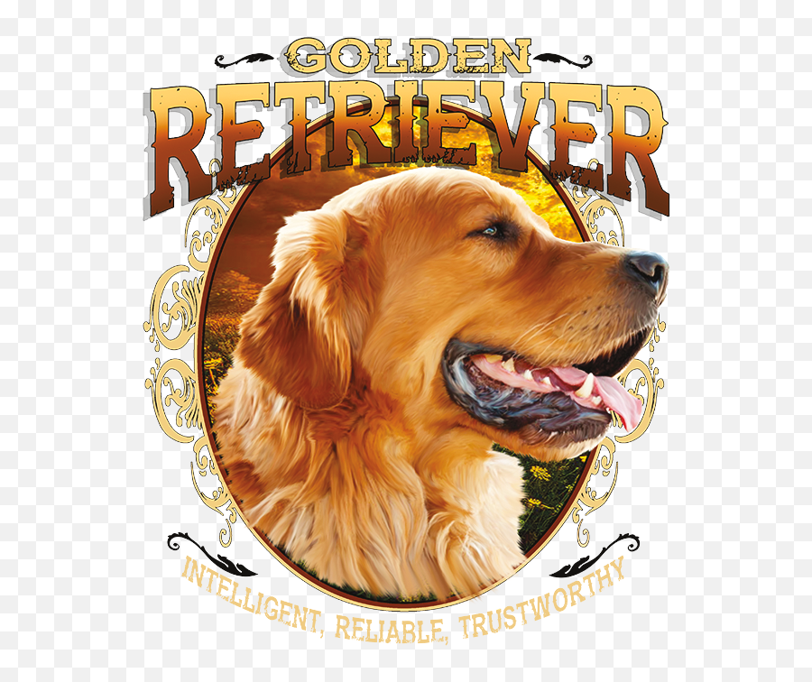 Golden Retriever Png - Dog 629933 Vippng Dogs Collar Judy,Courage The Cowardly Dog Png