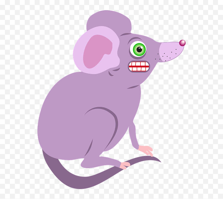 Download Mouse Animal Cartoon Rodent Mammal Angry Wild - Purple Rats Png,Rodent Png