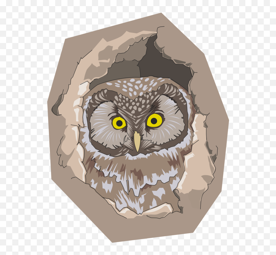 Owl Vertebrate Bird Of Prey Png Clipart - Pajaro En Un Hueco De Un Arbol,Prey Png