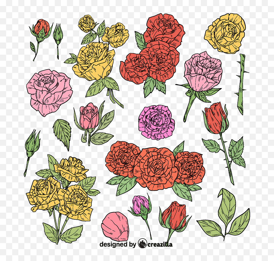 Set Of Rose Vector - Floral Png,Rose Vector Png