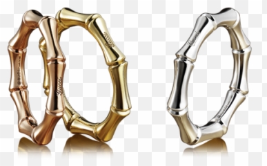Gucci - Solid png